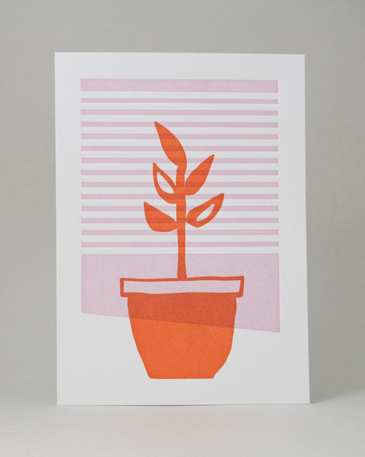 5x7" Window Plant Art Print #061
