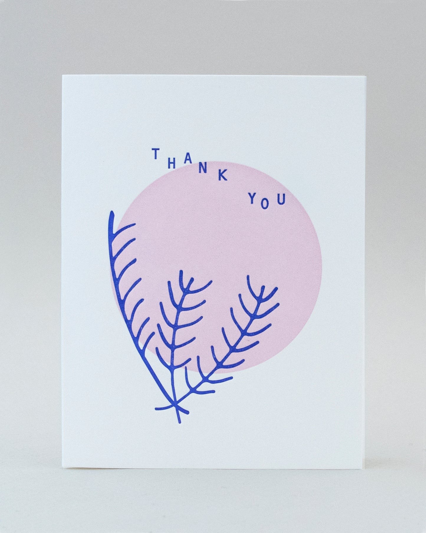 Blue Pine TY Card #113